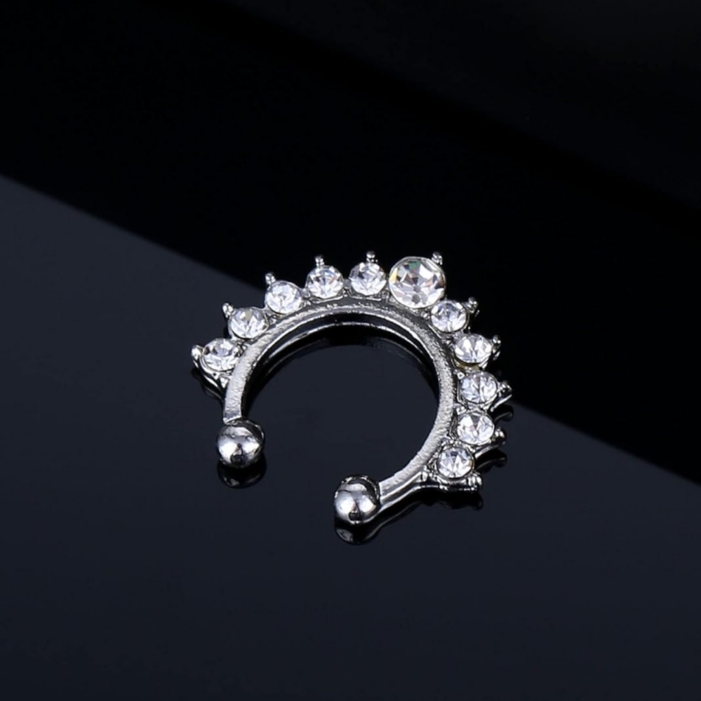 2 Fake Septum Rings - Picture 3 of 3